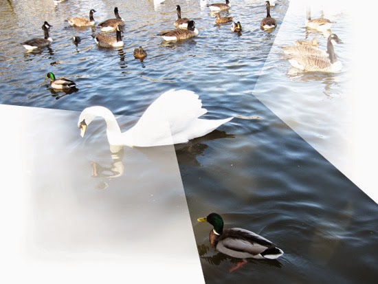 Individualism and Collectivism and Metryingtolearnthemism