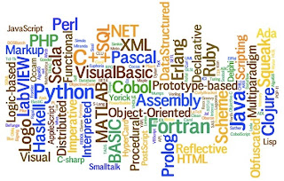 What programming language should I choose to excel on and why?